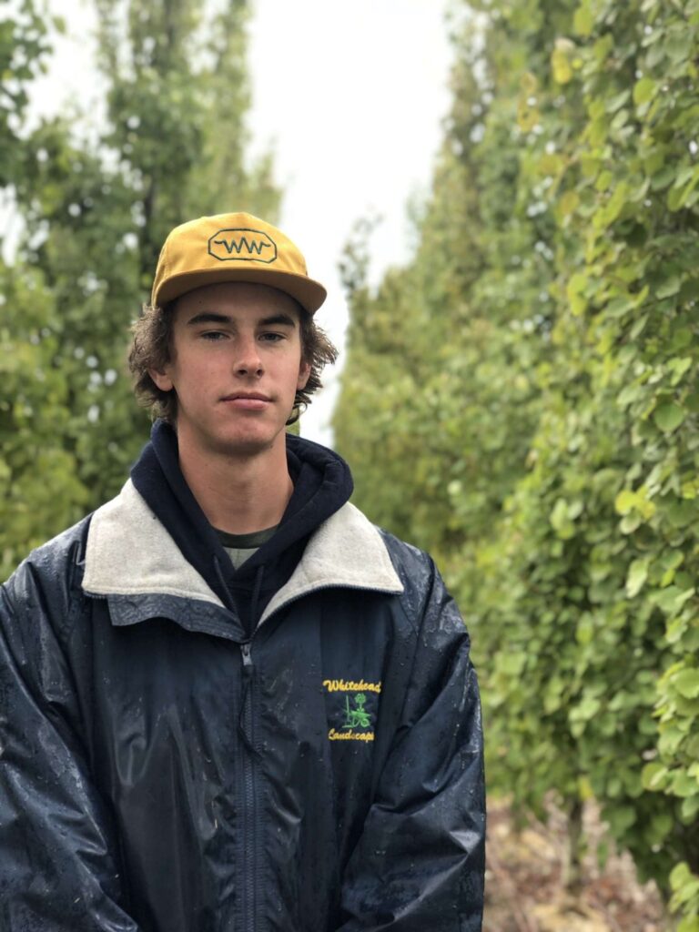 Wholesale Tree Farm Whitehead's Landscaping