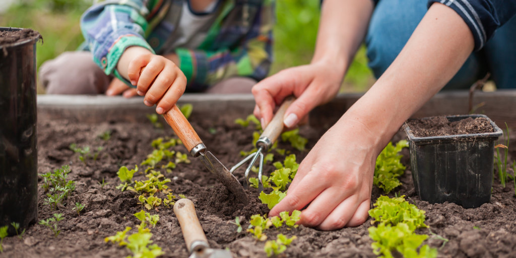 sustainable landscaping | eco-friendly gardening | native plants | water conservation | organic gardening