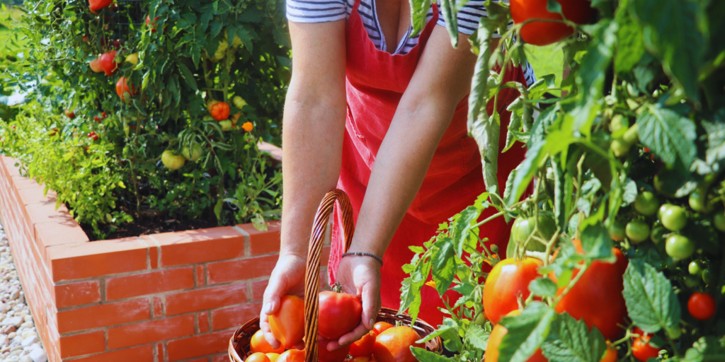 springtime-diy-outdoor-projects-raised-flower-beds-garden-trellises-eco-friendly-gardening-backyard-makeover-sustainable-landscaping
