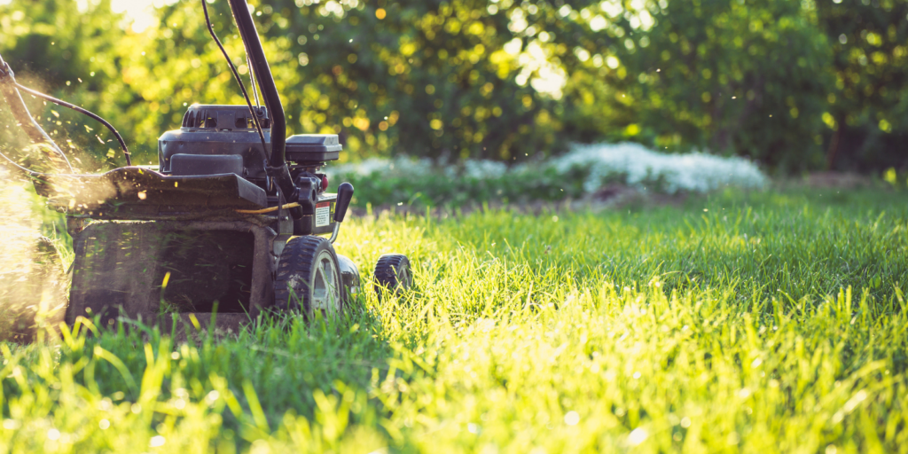 Lawn care before winter Fall lawn maintenance Preparing lawn for winter Fertilizing lawn in fall Aerating lawn in fall Overseeding for winter survival Winterizing lawn
