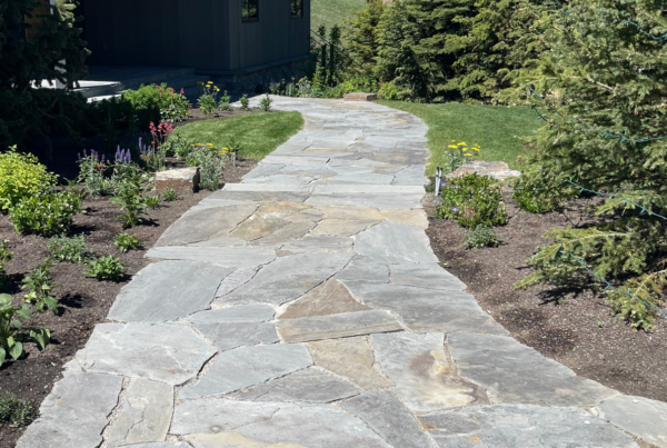 Whitehead Landscaping | beautiful landscapes | landscape design | on-time delivery | budget-friendly landscaping | professional landscapers | Sun Valley landscaping | eco-friendly landscaping