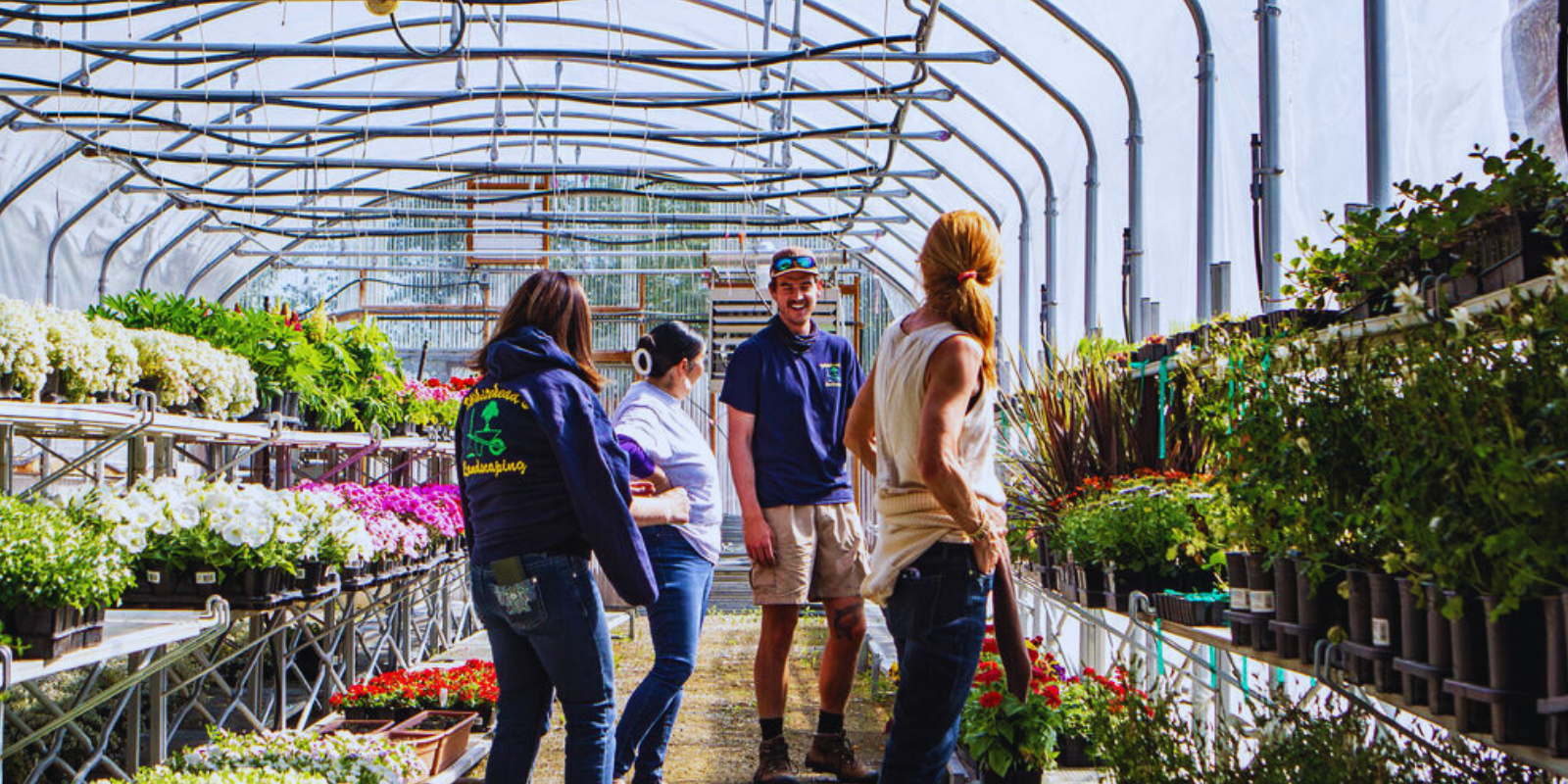 Family-owned landscaping company Trusted local landscapers Professional landscape design Custom outdoor spaces Tree planting and garden design Sustainable landscaping services
