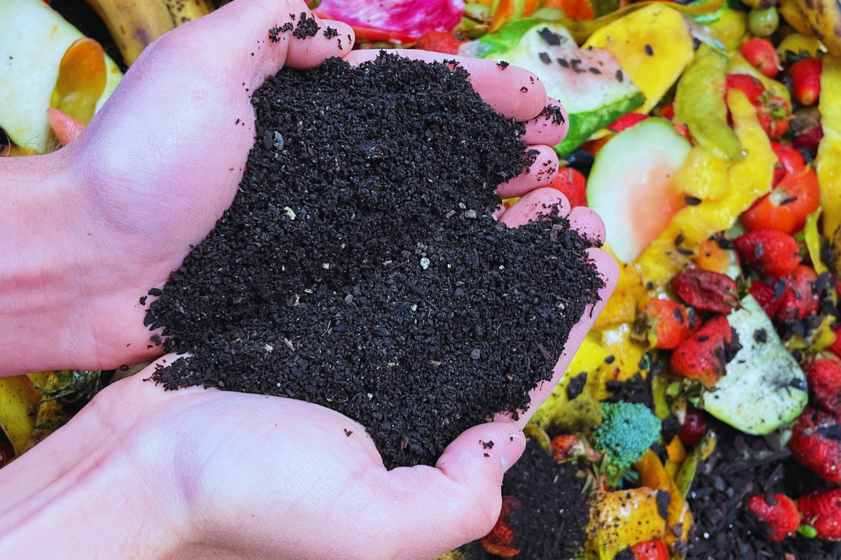 composting services | tree care Sun Valley | healthy soil | organic compost Idaho | tree fertilization | pruning services | Whitehead Landscaping | Mountain Valley Compost