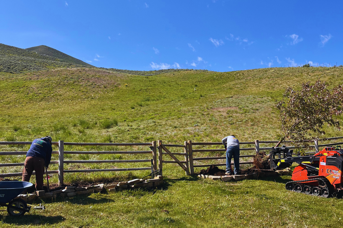 tree planting | compost Sun Valley | healthy soil Idaho | landscape transformation | tree care services | new trees | arborist services | Whitehead Landscaping | Mountain Valley