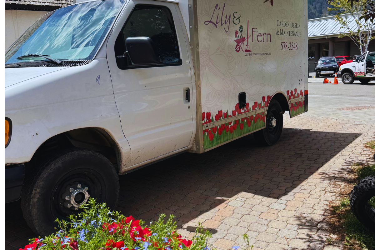 Ketchum Square beautification | Whitehead Landscaping tradition | flower planting Ketchum | annual landscaping project | Idaho beautification team