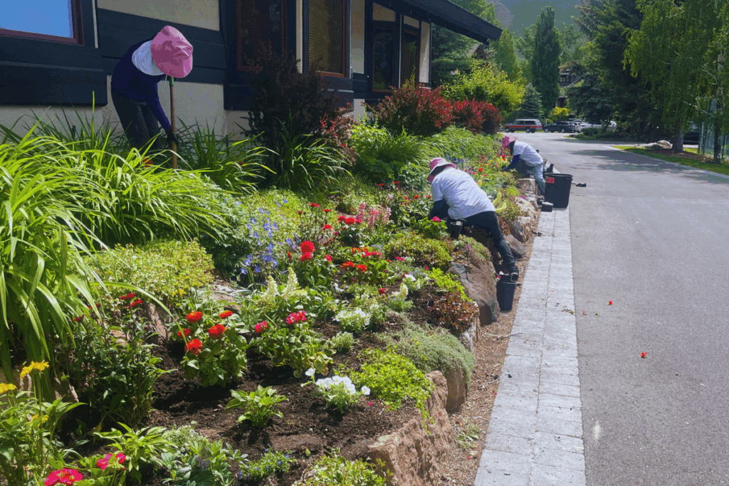 wildflower landscaping | Sun Valley landscaping | Whitehead Landscaping | neighborhood beautification | local landscapers Sun Valley