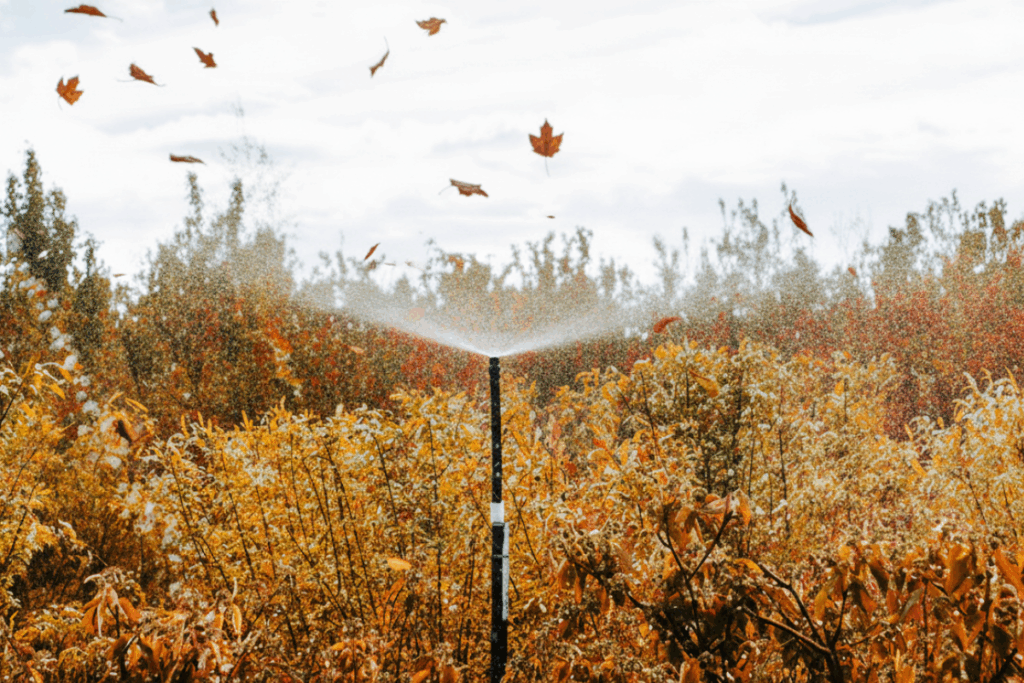 irrigation winterization|sprinkler blowout|HaileyID|Ketchum|SunValley|prescheduled|backflow protection|freeze damage|Eco Irrigation|water conservation|WhiteheadLandscaping|Idaho|BlaineCounty