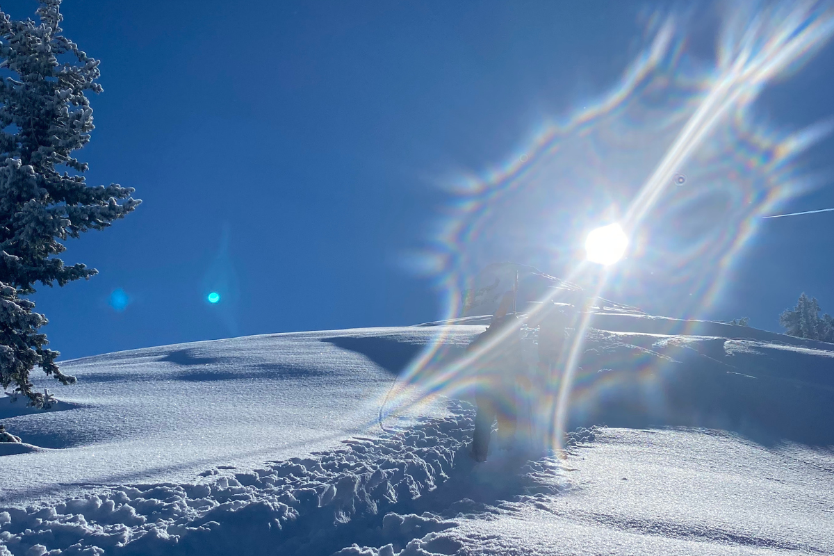 winter lawn prep Idaho | spring garden planning | dormant pruning | soil treatments | compost topdressing | organic mulch | Whitehead Landscaping | Hailey | Ketchum | 208-578-2246