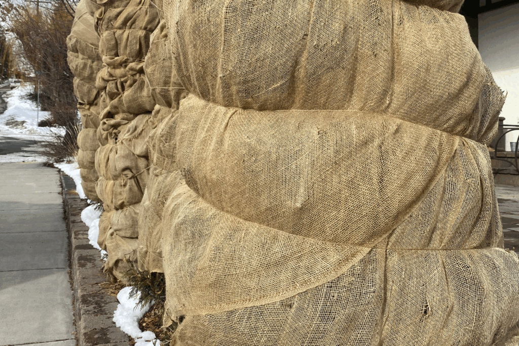 winter plant protection Idaho | frost cover | burlap wrap | mulch insulation | tree shrub winter care | Whitehead Landscaping | garden winter prep | snow damage prevention | 208-578-2246