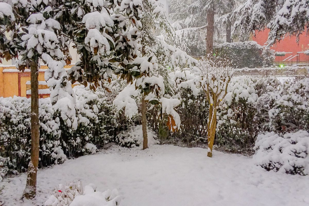 Snow friendly landscape design | Whitehead Landscaping Hailey Idaho | Sun Valley outdoor living winter | safe walkways and driveways | snow removal and ice management | Hailey ID landscapers