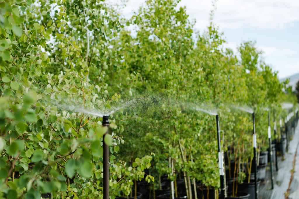 eco irrigation | smart irrigation systems | mountain irrigation | water efficient landscaping | sustainable irrigation | sun valley irrigation | smart watering systems