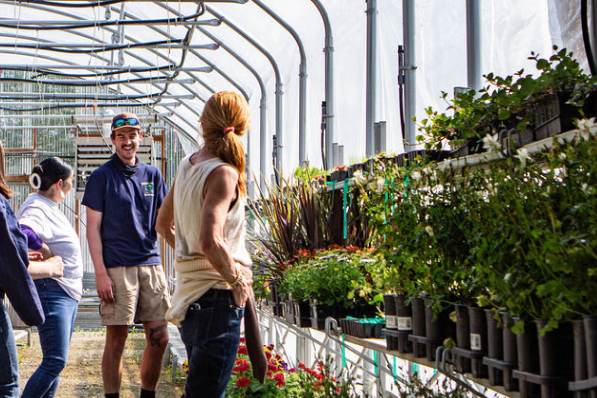 lily & fern | garden maintenance | plant care services | seasonal garden care | sun valley landscaping | perennial care | sustainable gardens | whitehead landscaping division