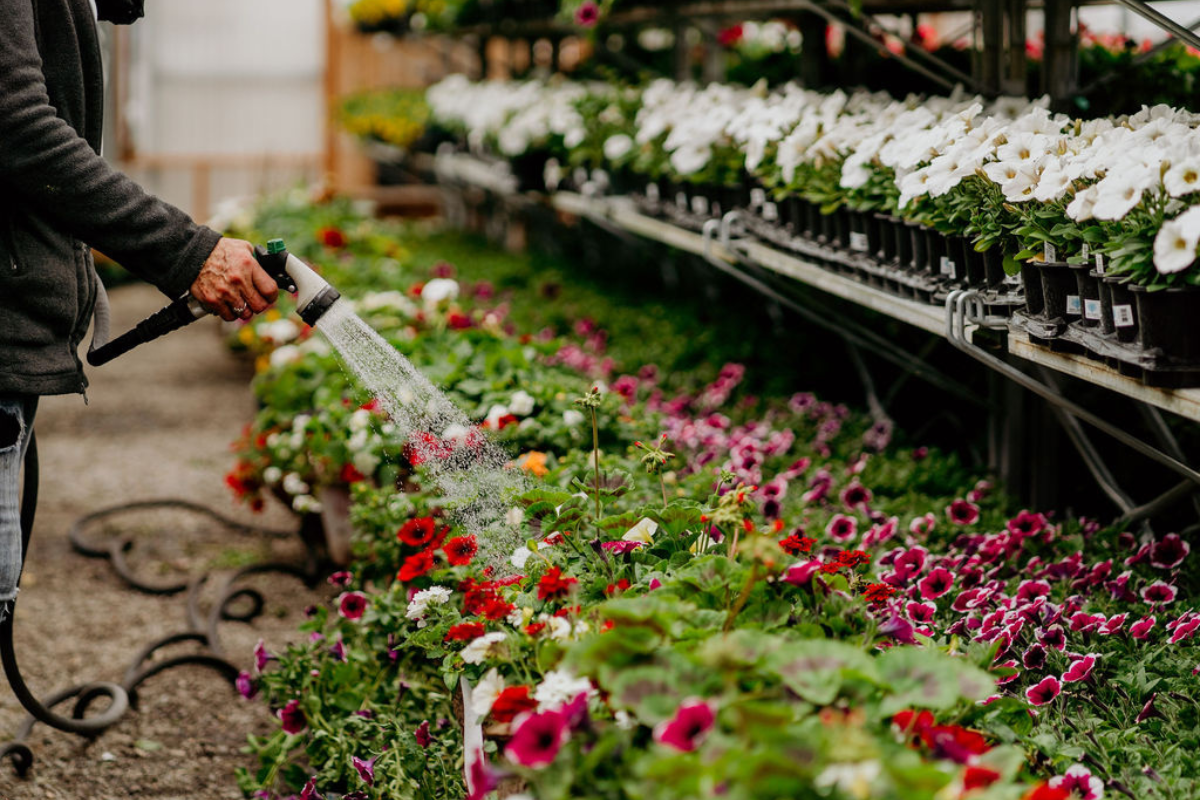 Lily & Fern | Whitehead Landscaping | spring garden planning | curated plant design | Wood River Valley | Sun Valley | soil prep & amendments | seasonal installations