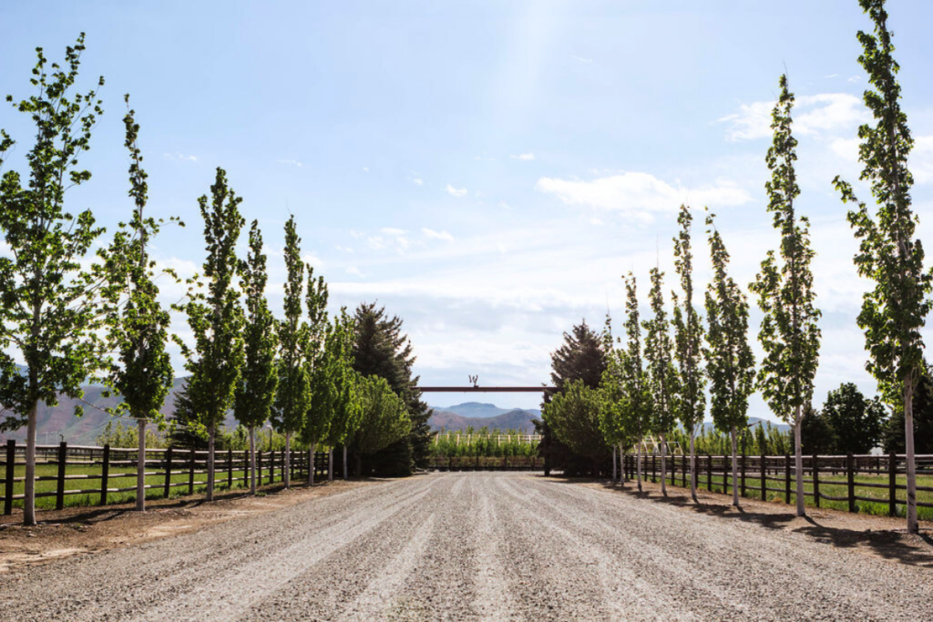 spring garden prep Idaho | soil health landscaping | pruning tips spring | garden cleanup services | landscape maintenance Sun Valley | compost soil care | Whitehead Landscaping Idaho