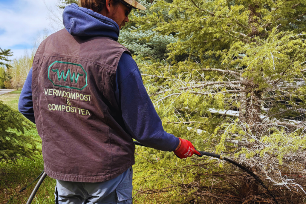 mycorrhizal fungi | compost tea | vermicast soil | healthy lawns | soil biology | root health | sustainable landscaping | tree care Idaho