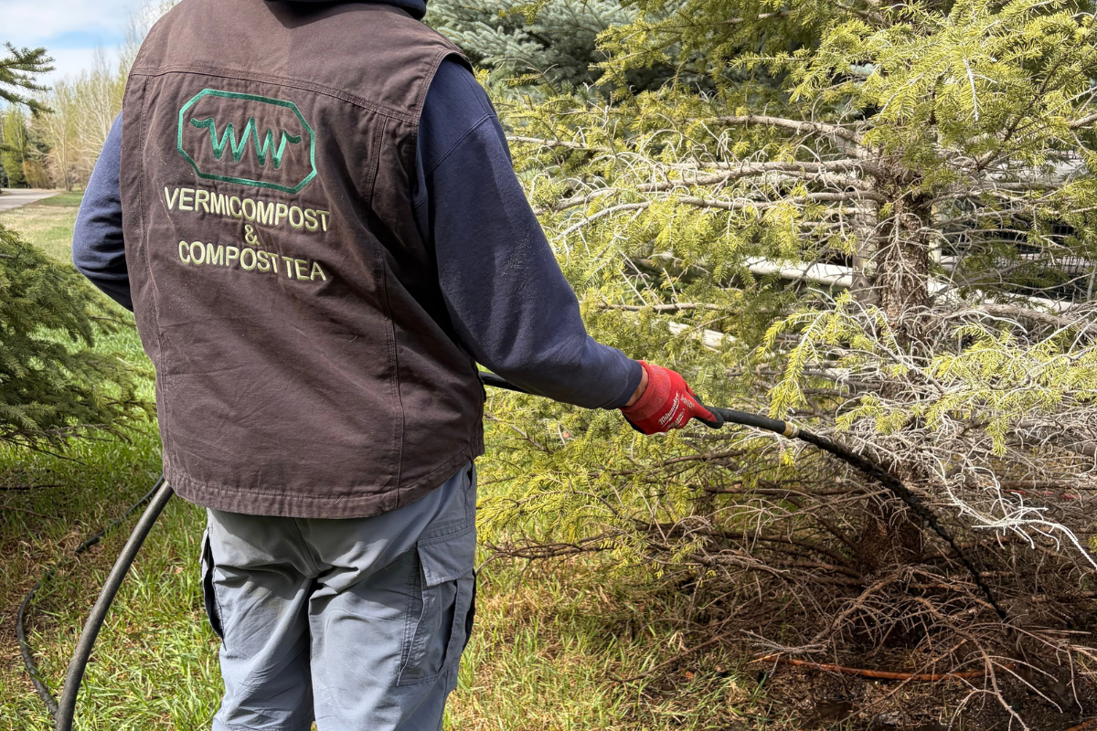 fall tree care Idaho | organic compost Hailey | vermicast Idaho | compost tea | soil health Sun Valley | tree care Wood River Valley | Mountain Valley Compost